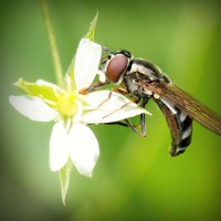 /album/megustaescribir/photolia-a02-jpg/