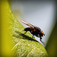 /album/megustaescribir/photolia-a04-jpg/