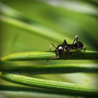 /album/megustaescribir/photolia-a05-jpg/