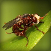 /album/megustaescribir/photolia-a06-jpg/