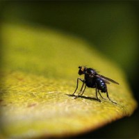/album/megustaescribir/photolia-a07-jpg/