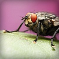 /album/megustaescribir/photolia-a08-jpg/